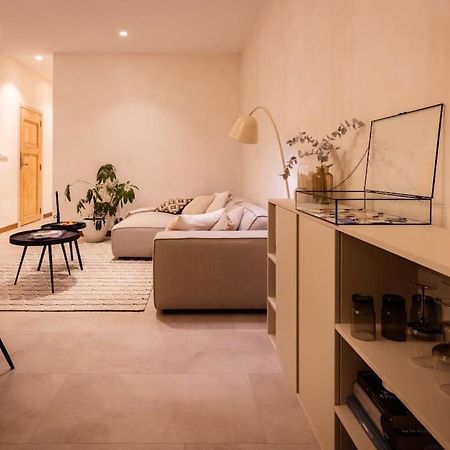 Appartement Met Tuin In Haarlem Centrum Exterior photo
