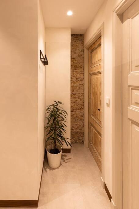 Appartement Met Tuin In Haarlem Centrum Exterior photo
