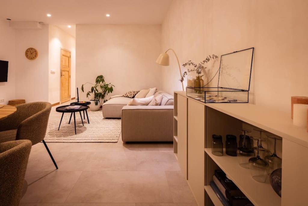Appartement Met Tuin In Haarlem Centrum Exterior photo