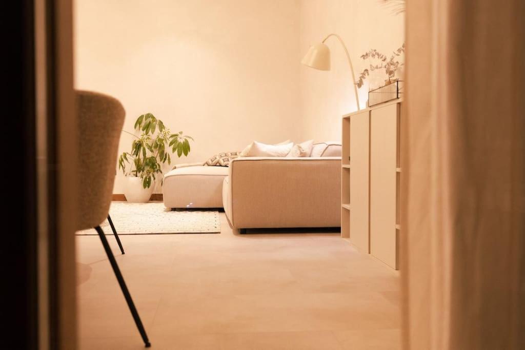Appartement Met Tuin In Haarlem Centrum Exterior photo